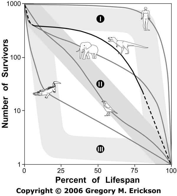 Dr gregory m erickson tyrannosaur life tables